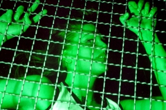 fotofire